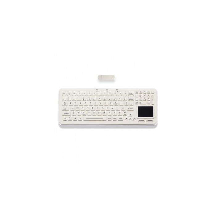 iKey SBW-97-TP Desktop Keyboard